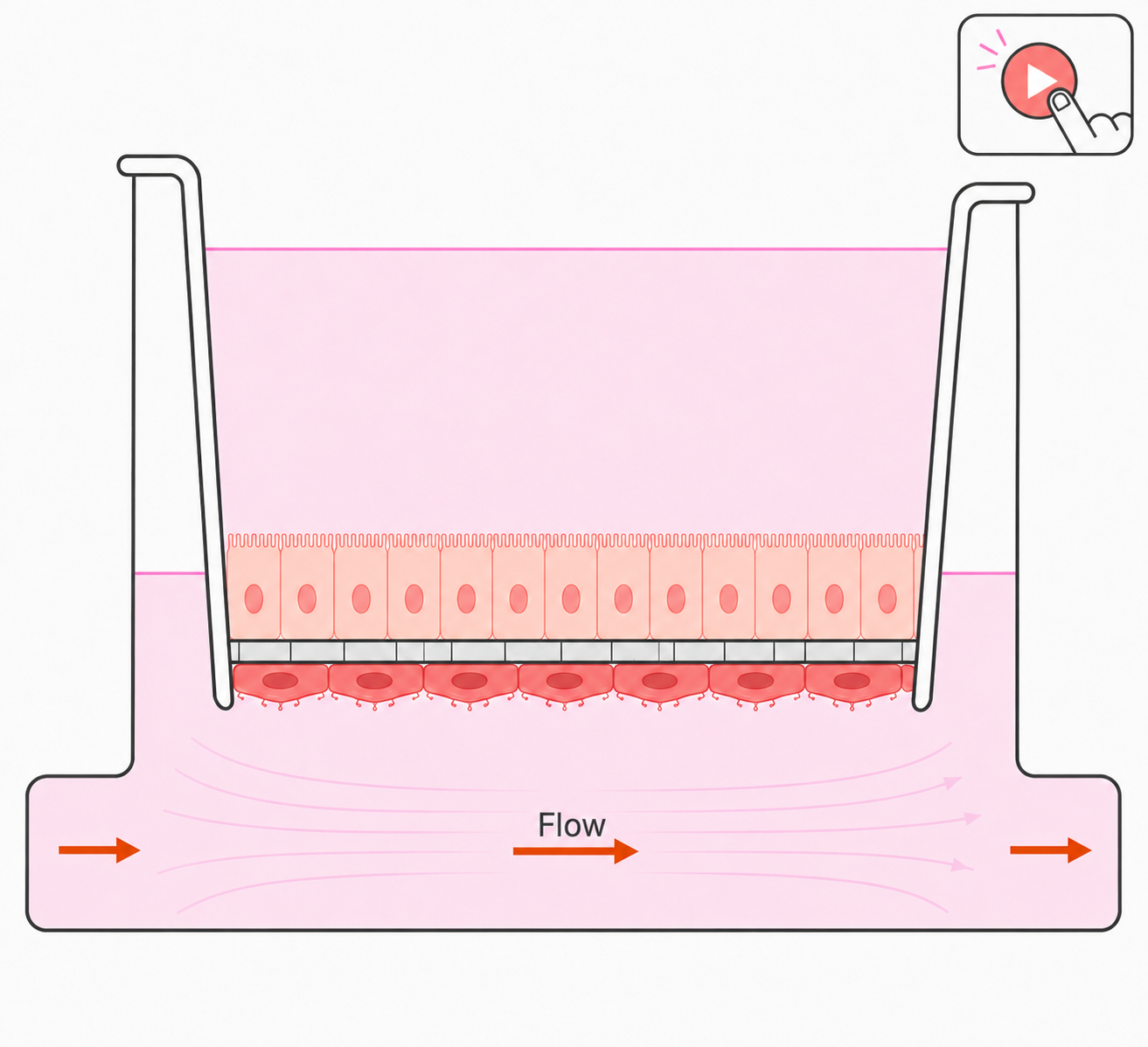 Step 3: Press run